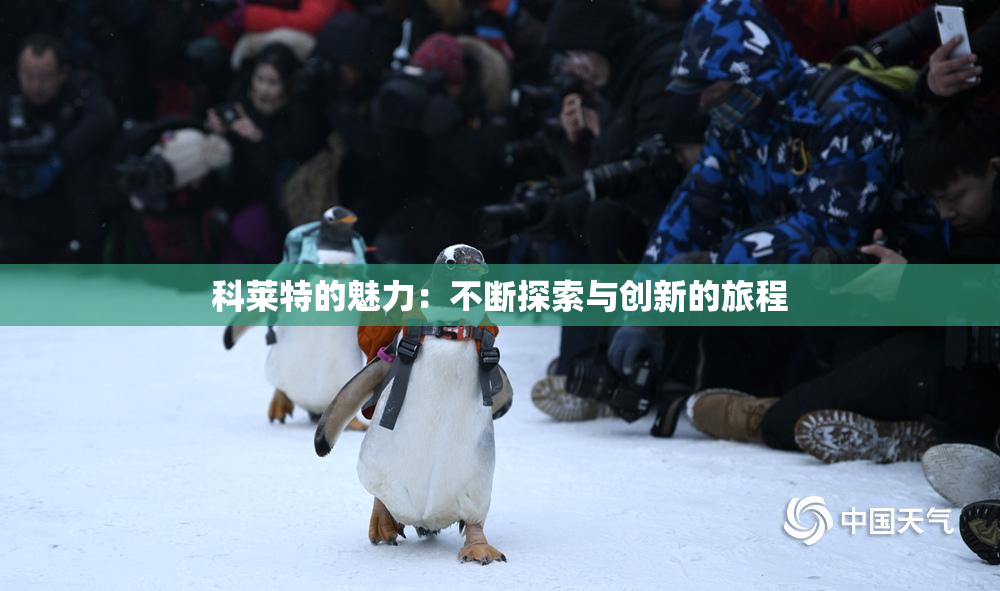 科莱特的魅力：不断探索与创新的旅程