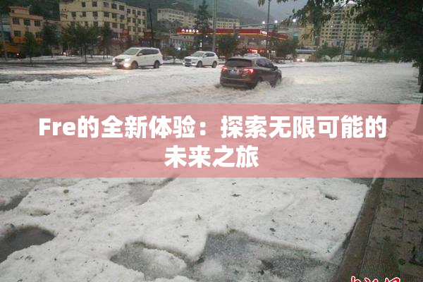 Fre的全新体验：探索无限可能的未来之旅