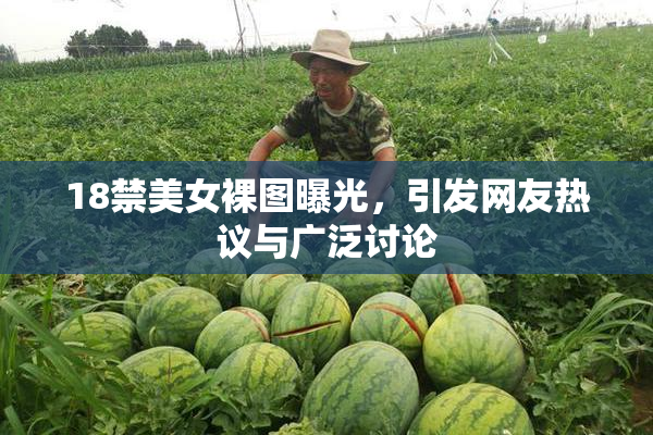 18禁美女裸图曝光，引发网友热议与广泛讨论