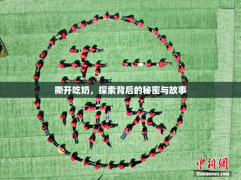 撕开吃奶，探索背后的秘密与故事