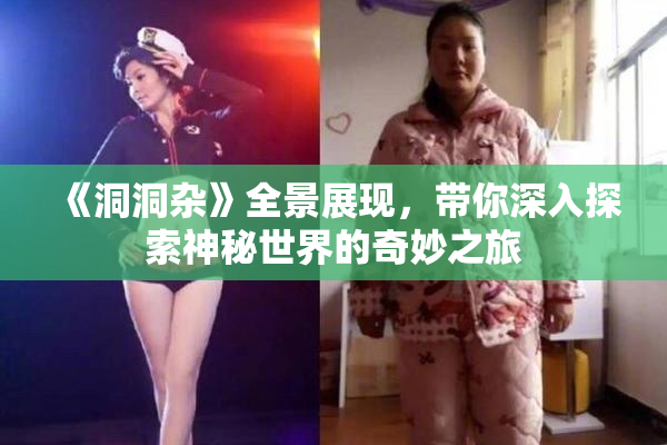 《洞洞杂》全景展现，带你深入探索神秘世界的奇妙之旅