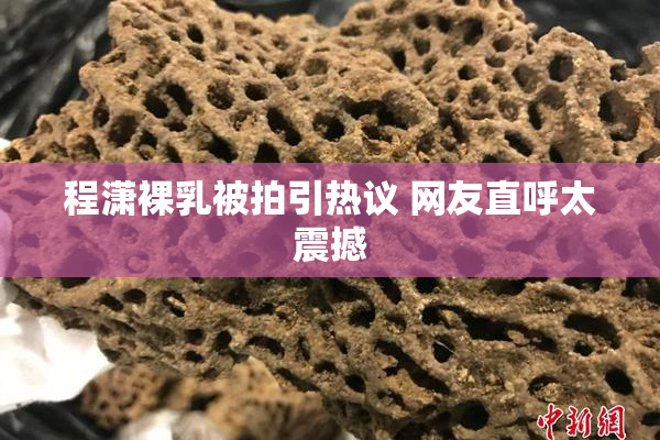 程潇裸乳被拍引热议 网友直呼太震撼