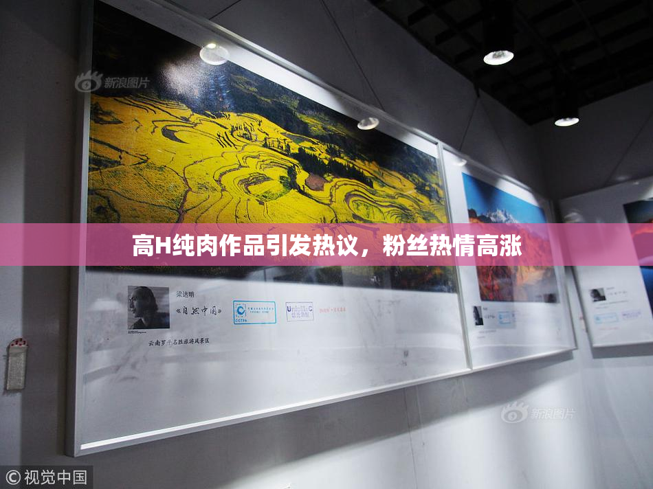 高H纯肉作品引发热议，粉丝热情高涨
