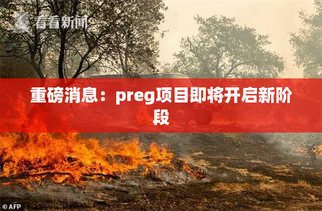 重磅消息：preg项目即将开启新阶段
