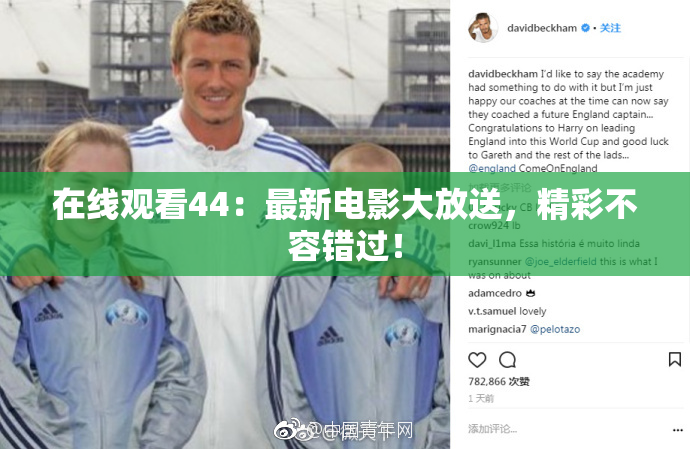在线观看44：最新电影大放送，精彩不容错过！