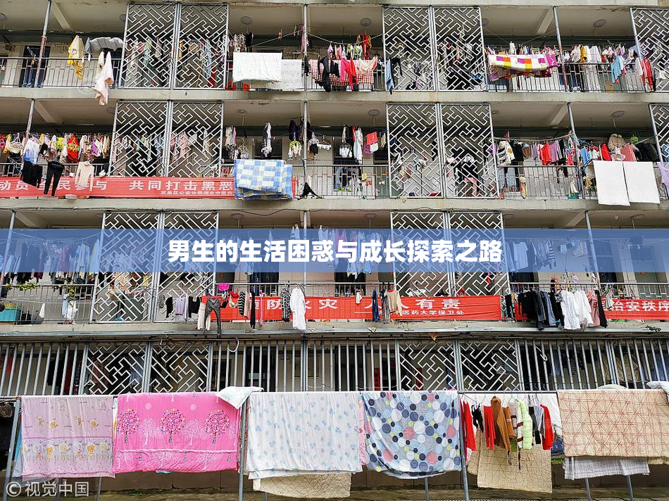 男生的生活困惑与成长探索之路