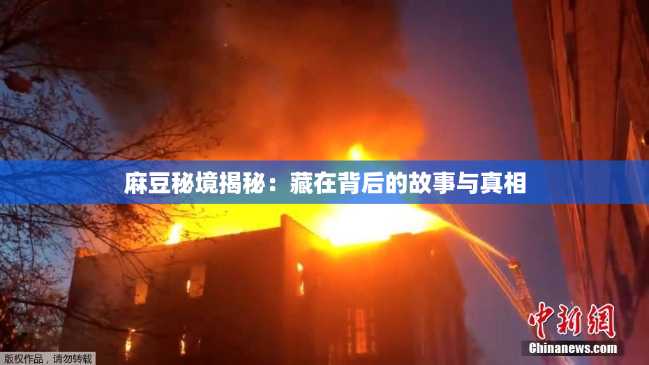 麻豆秘境揭秘：藏在背后的故事与真相