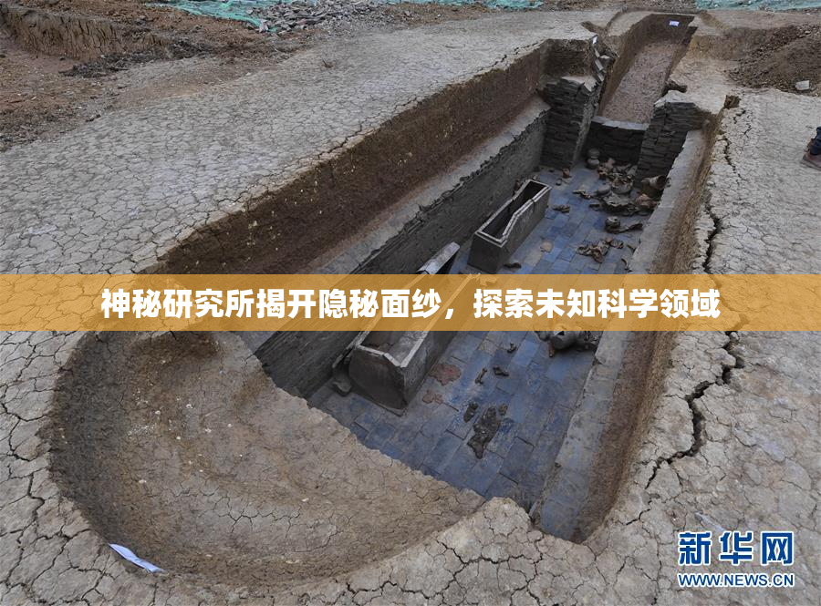 神秘研究所揭开隐秘面纱，探索未知科学领域