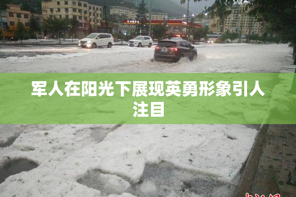 军人在阳光下展现英勇形象引人注目