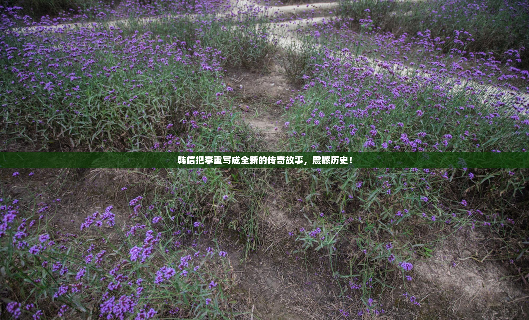 韩信把李重写成全新的传奇故事，震撼历史！