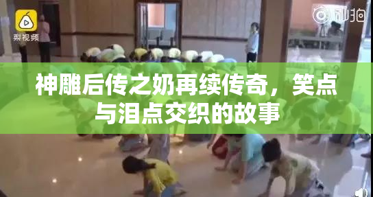 神雕后传之奶再续传奇，笑点与泪点交织的故事