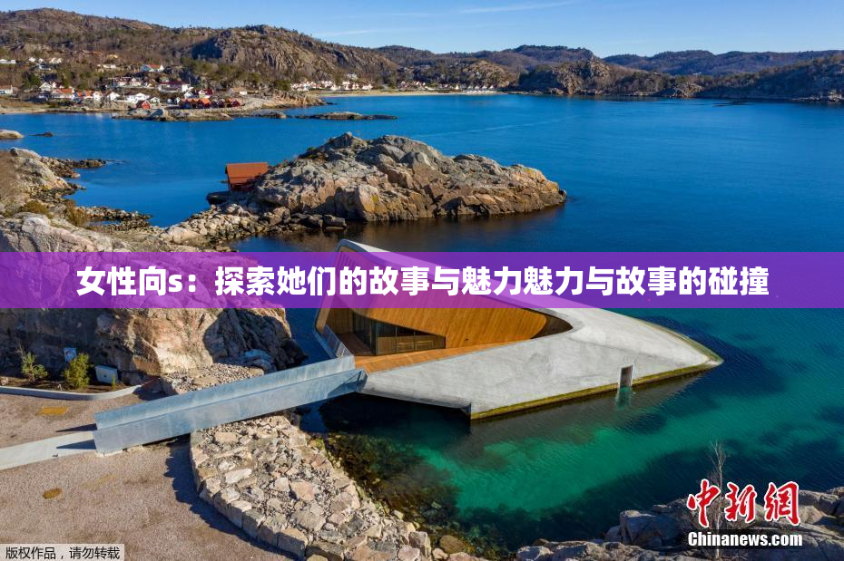 女性向s：探索她们的故事与魅力魅力与故事的碰撞
