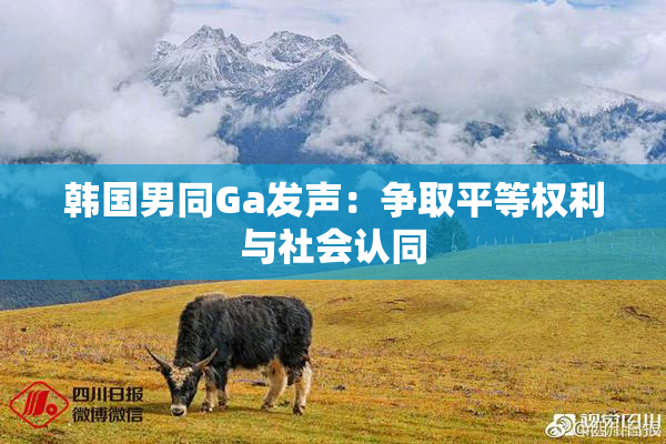 韩国男同Ga发声：争取平等权利与社会认同