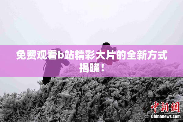免费观看b站精彩大片的全新方式揭晓！