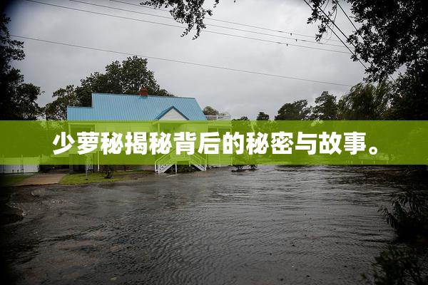 少萝秘揭秘背后的秘密与故事。