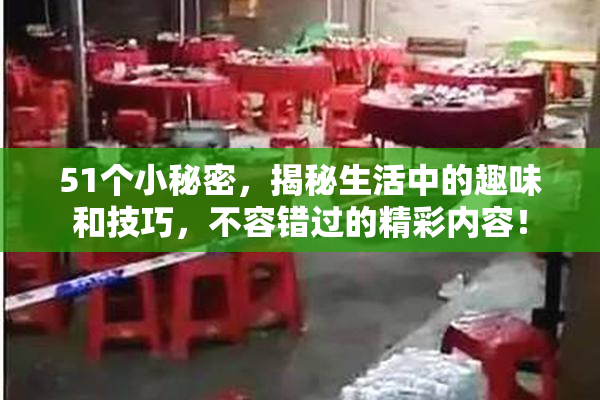 51个小秘密，揭秘生活中的趣味和技巧，不容错过的精彩内容！