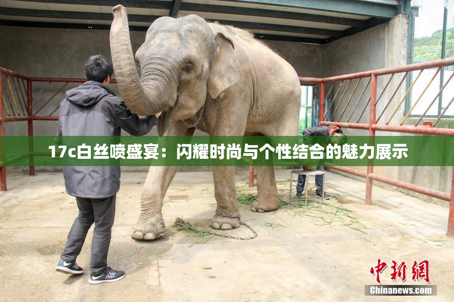 17c白丝喷盛宴：闪耀时尚与个性结合的魅力展示
