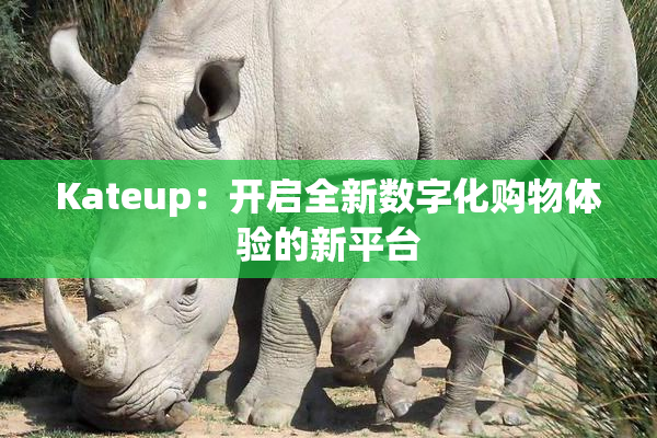 Kateup：开启全新数字化购物体验的新平台