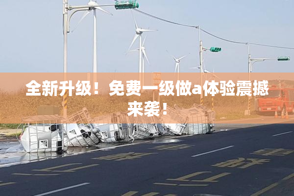 全新升级！免费一级做a体验震撼来袭！