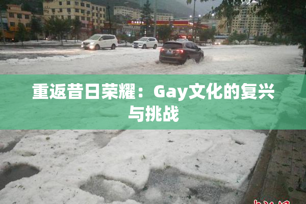 重返昔日荣耀：Gay文化的复兴与挑战