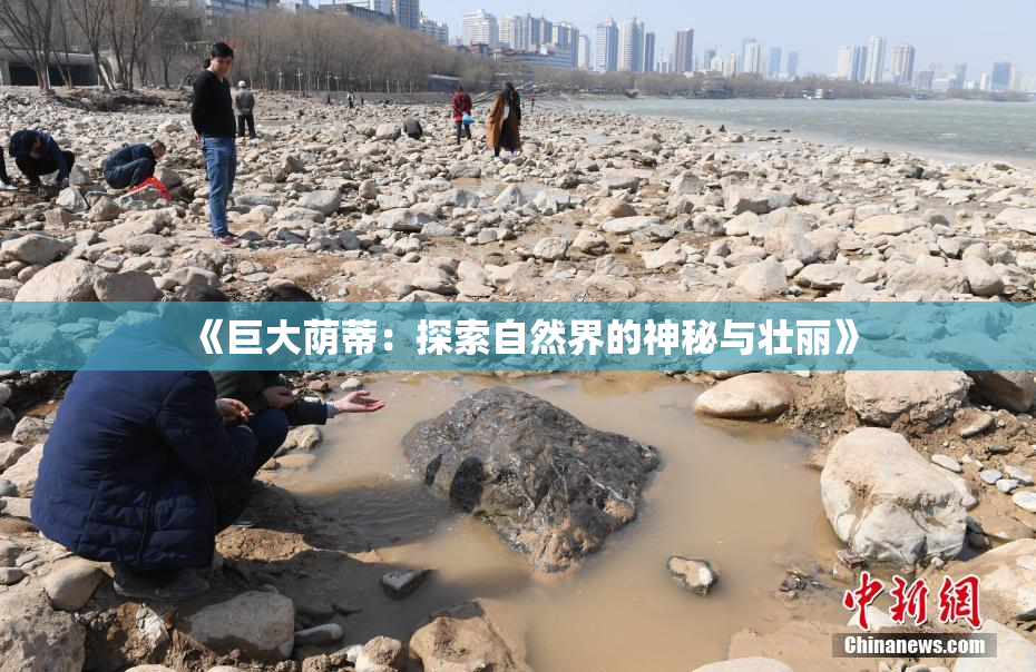 《巨大荫蒂：探索自然界的神秘与壮丽》