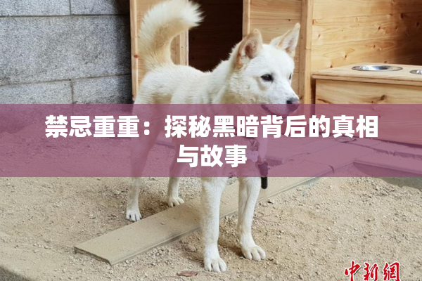 禁忌重重：探秘黑暗背后的真相与故事