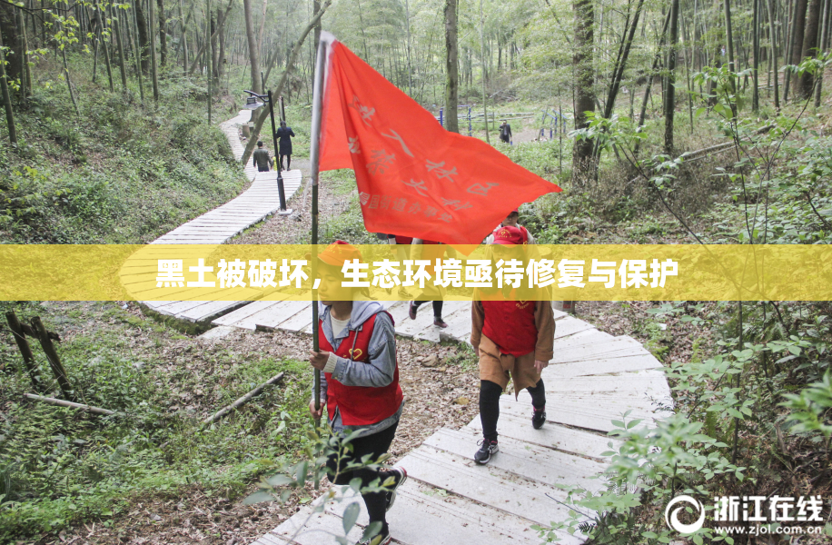 黑土被破坏，生态环境亟待修复与保护