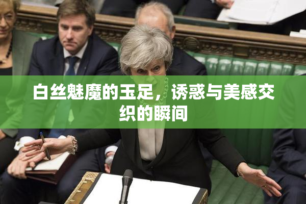 白丝魅魔的玉足，诱惑与美感交织的瞬间