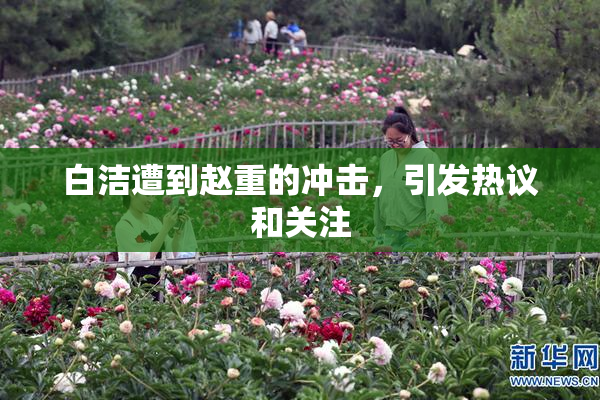 白洁遭到赵重的冲击，引发热议和关注
