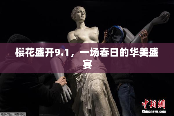 樱花盛开9.1，一场春日的华美盛宴