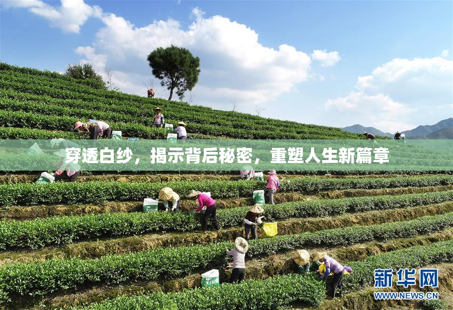 穿透白纱，揭示背后秘密，重塑人生新篇章