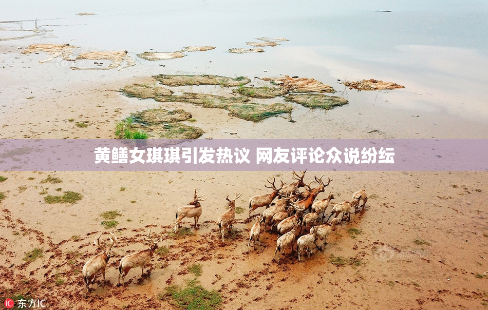 黄鳝女琪琪引发热议 网友评论众说纷纭