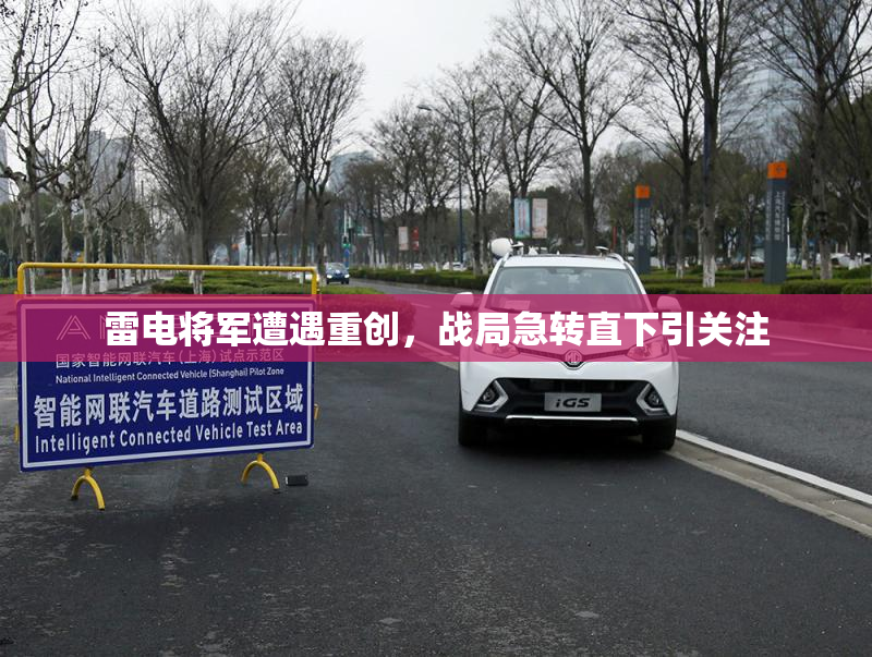 雷电将军遭遇重创，战局急转直下引关注