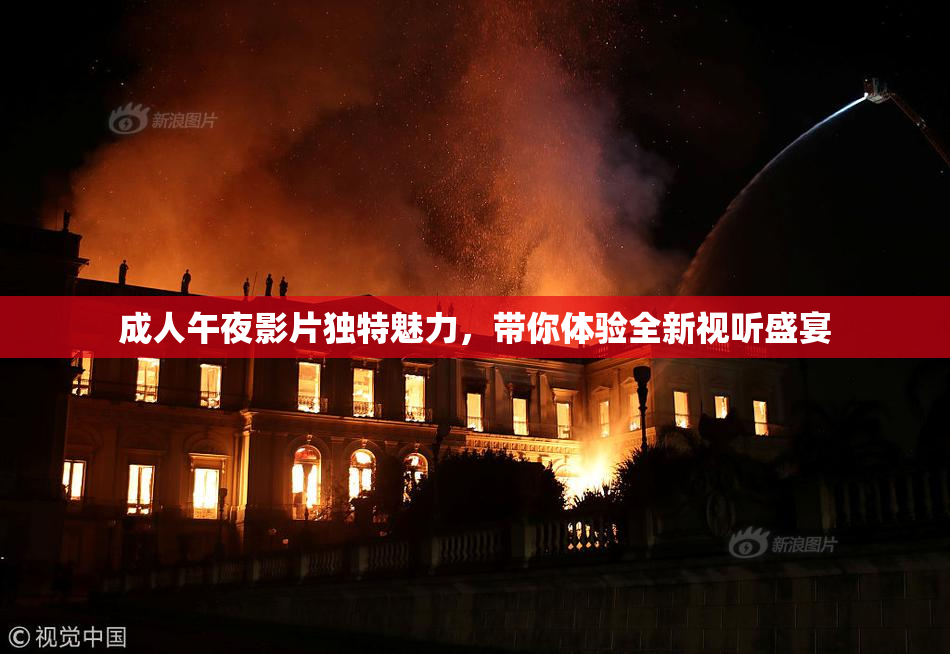 成人午夜影片独特魅力，带你体验全新视听盛宴