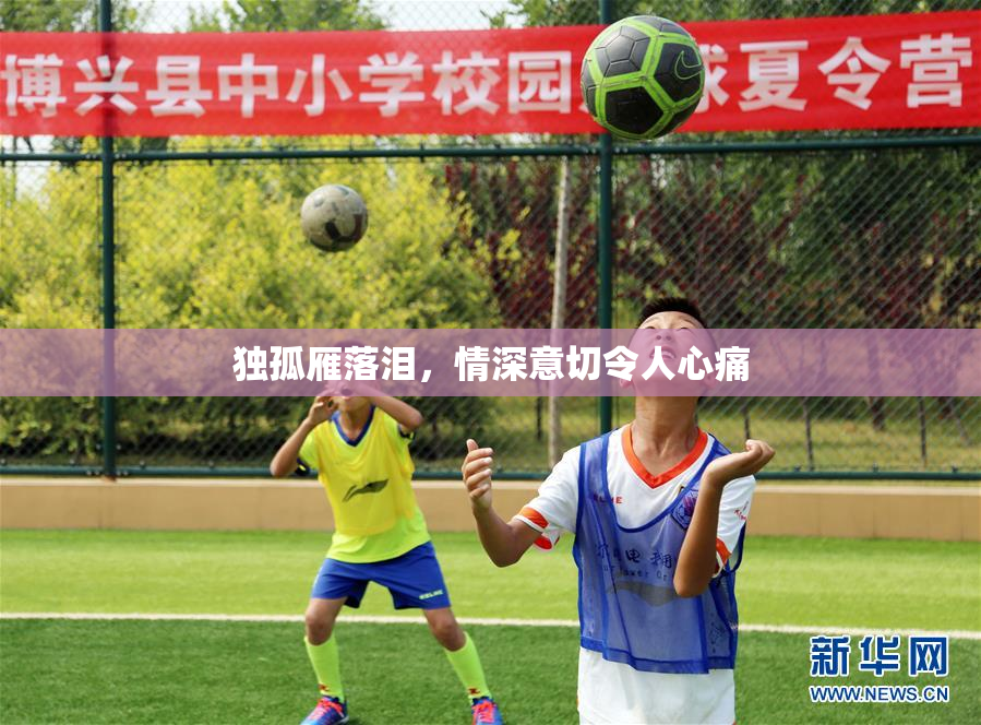 独孤雁落泪，情深意切令人心痛