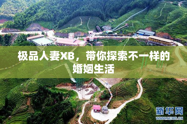 极品人妻XB，带你探索不一样的婚姻生活