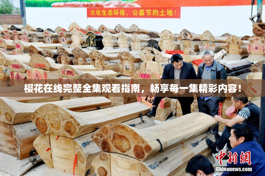 樱花在线完整全集观看指南，畅享每一集精彩内容！