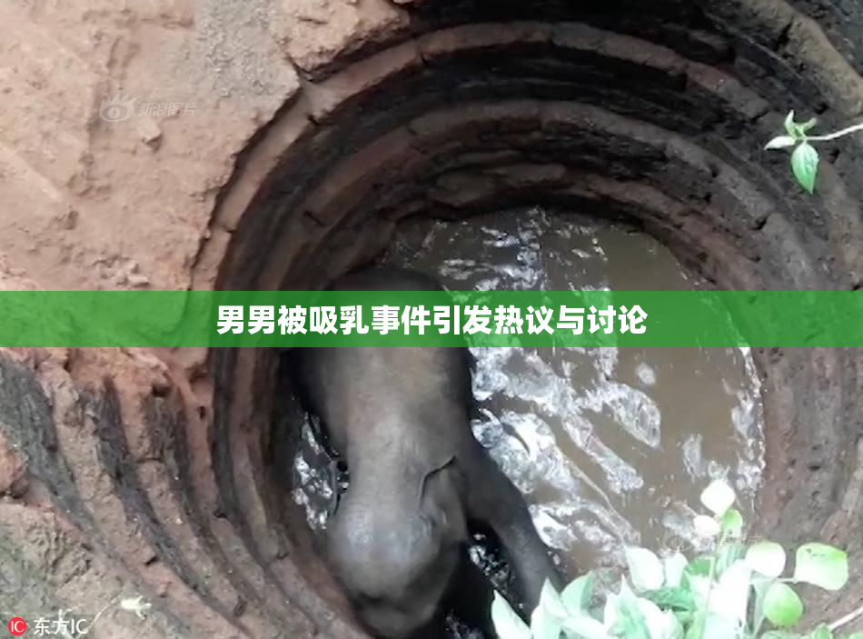 男男被吸乳事件引发热议与讨论