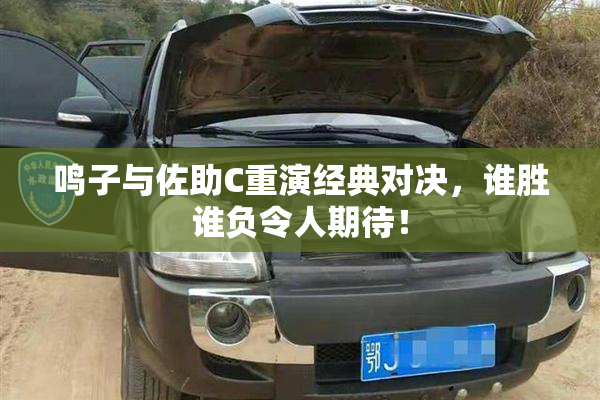 鸣子与佐助C重演经典对决，谁胜谁负令人期待！