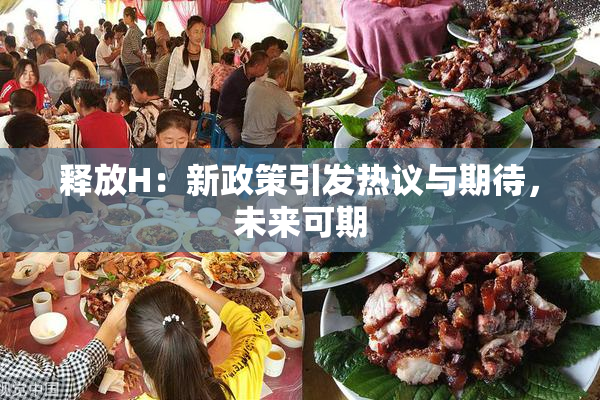 释放H：新政策引发热议与期待，未来可期