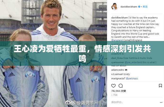 王心凌为爱牺牲最重，情感深刻引发共鸣