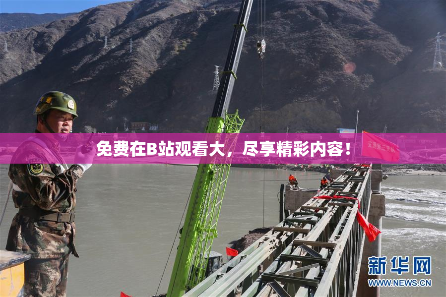 免费在B站观看大，尽享精彩内容！