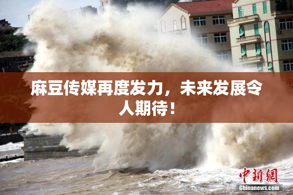 麻豆传媒再度发力，未来发展令人期待！