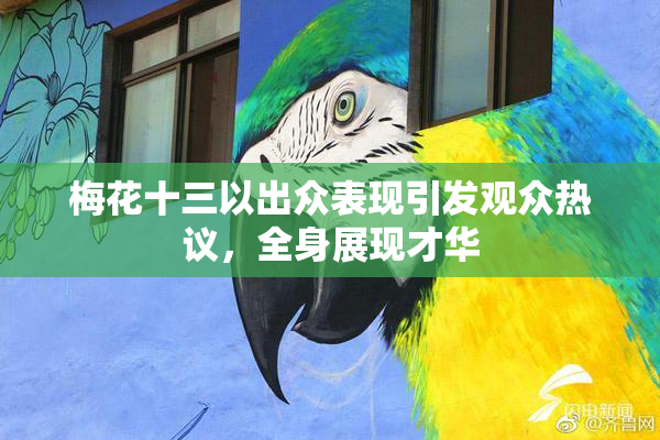 梅花十三以出众表现引发观众热议，全身展现才华