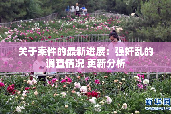 关于案件的最新进展：强奸乱的调查情况 更新分析