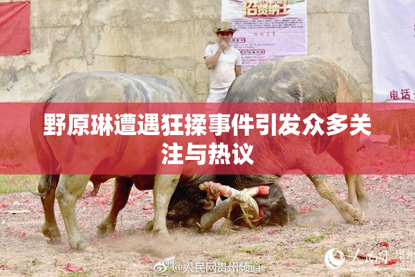 野原琳遭遇狂揉事件引发众多关注与热议