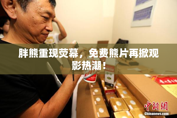 胖熊重现荧幕，免费熊片再掀观影热潮！