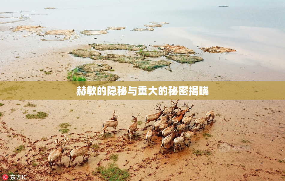 赫敏的隐秘与重大的秘密揭晓