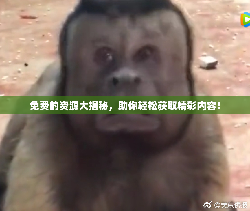 免费的资源大揭秘，助你轻松获取精彩内容！