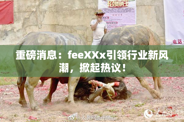 重磅消息：feeXXx引领行业新风潮，掀起热议！